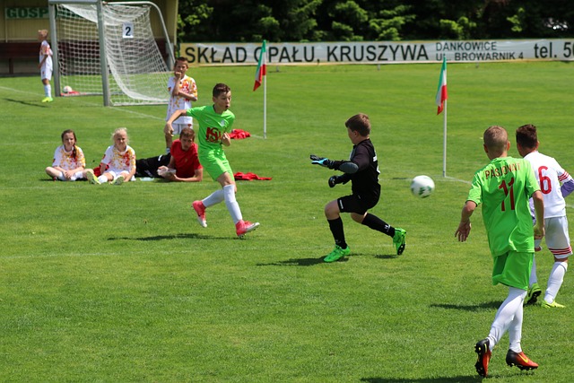 必将成为湖 必将成为湖