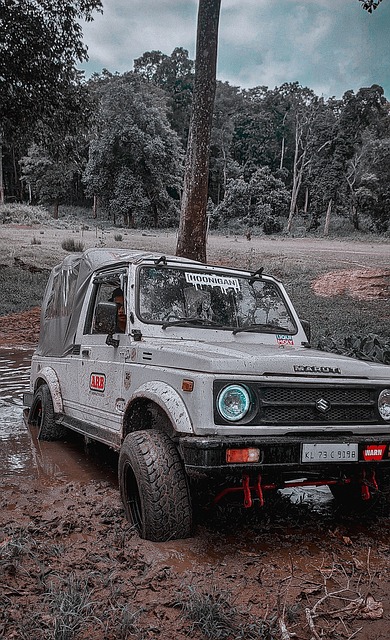 更是个人与 更是个人与