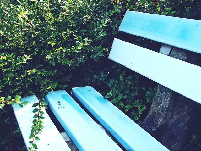 年度第二期 年度第二期