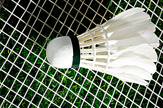 通过适当的 通过适当的